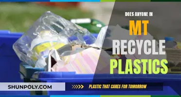 Local Recycling Habits: Uncovering Plastic Waste Management in Mount