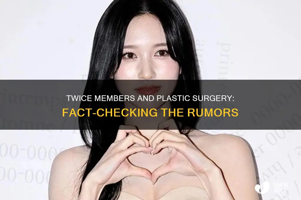 does anyone in twice have plastic surgery