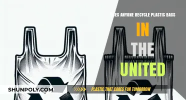 Recycling Plastic Bags in the U.S.: Myths, Facts, and Solutions