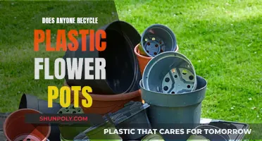 Plastic Flower Pots: The Surprising Recycling Journey