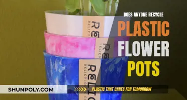 Creative Ways to Recycle Plastic Flower Pots
