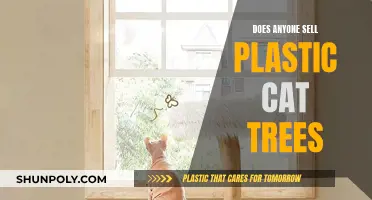 Plastic Cat Trees: Where to Buy Them?