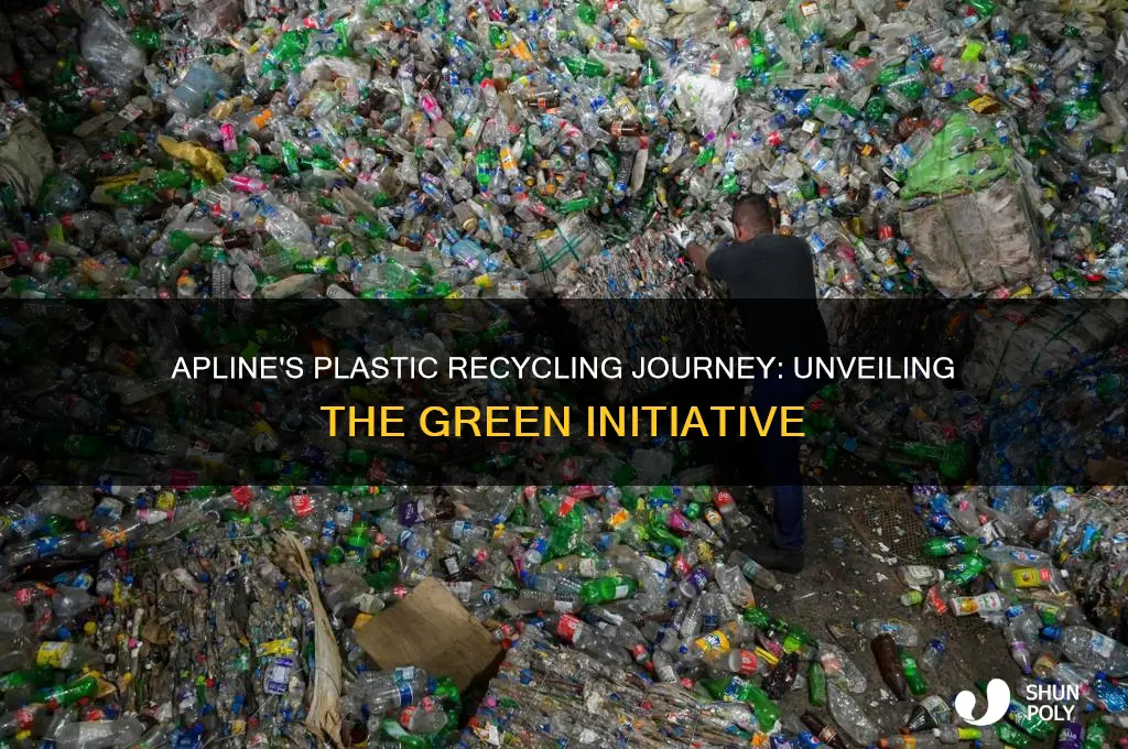 does apline recycle 4 plastic