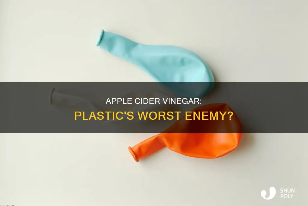 does apple cider vinegar react with plastic
