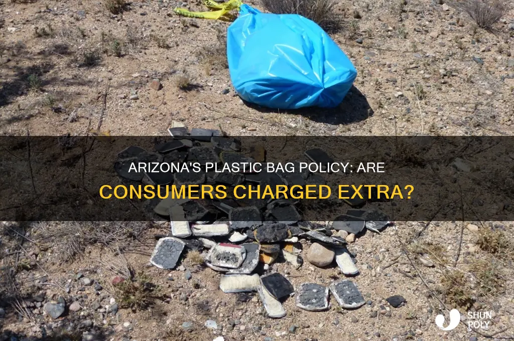 Arizona's Plastic Bag Policy: Are Consumers Charged Extra? | ShunPoly
