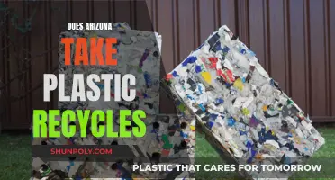 Arizona's Plastic Recycling: Unveiling the Green State's Potential