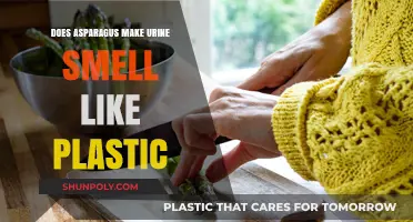Asparagus and Urine: Unraveling the Plastic-Like Smell Mystery