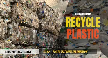 Australia's Plastic Recycling Journey: Progress and Challenges