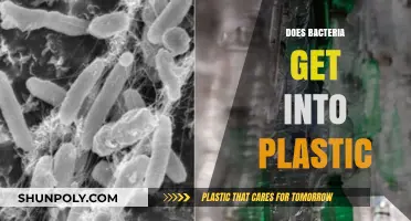 Can Bacteria Penetrate Plastic? Unveiling Microbial Intrusion Mysteries