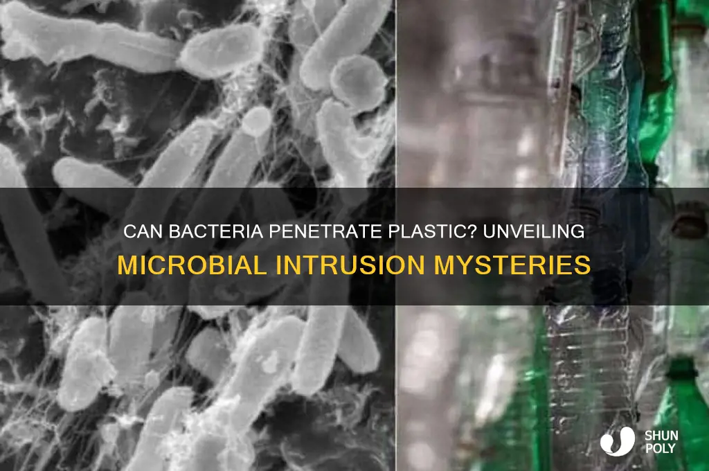 does bacteria get into plastic