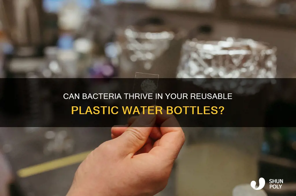 does bacteria grow in plastic water bottles