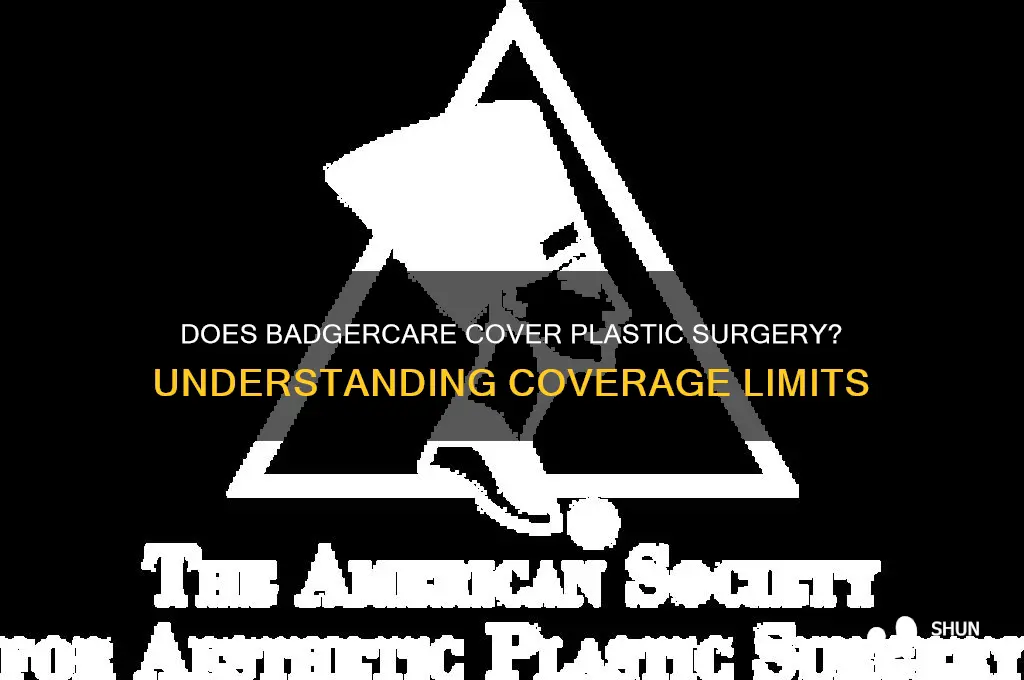 does badgercare cover plastic surgery