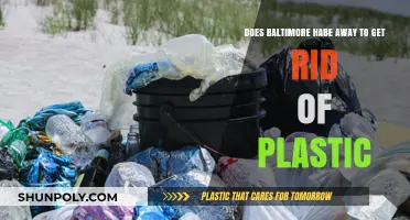 Baltimore's Battle Against Plastic: Sustainable Solutions for a Greener Future