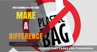 Banning Plastic Bags: Real Impact or Symbolic Gesture?