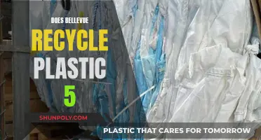 Bellevue's Plastic Recycling: Unveiling the 5-Step Process