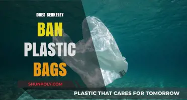 Berkeley's Plastic Bag Ban: Environmental Impact and Community Response