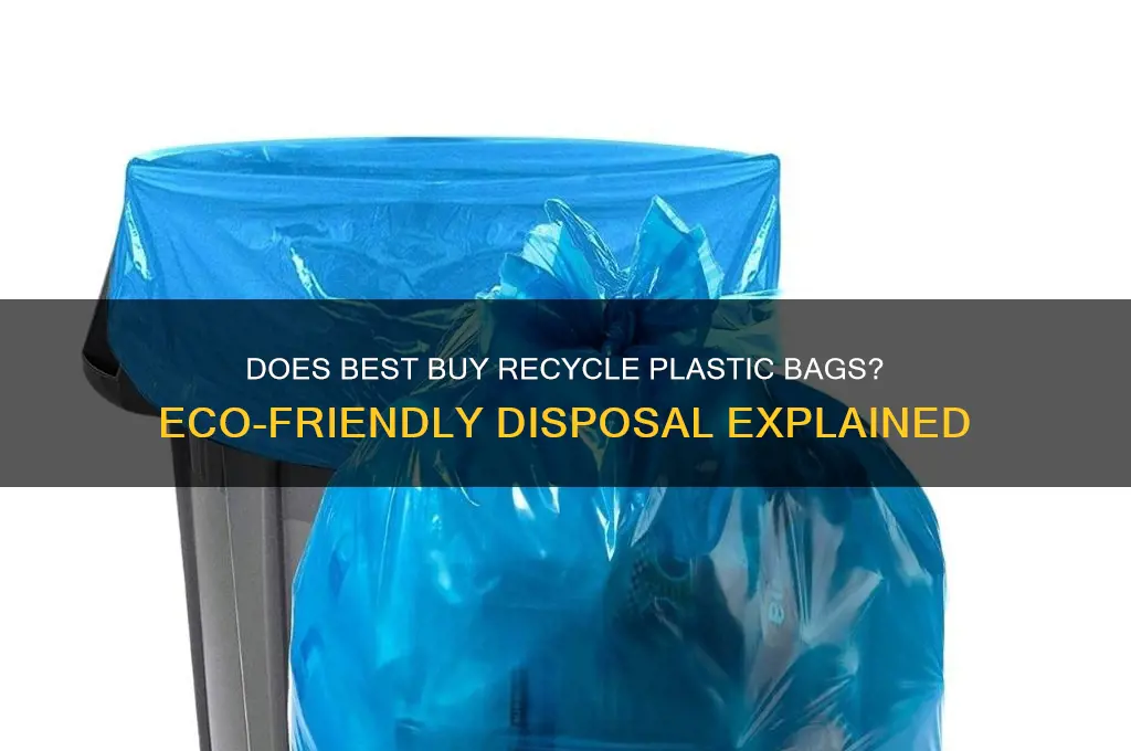 does best buy recycle plastic bags