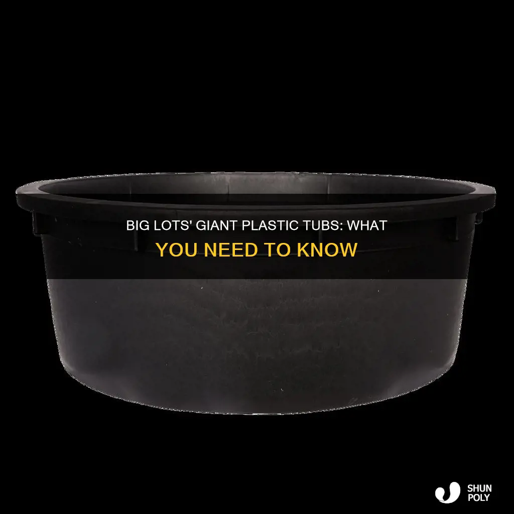 does big lots have giant plastic tubs