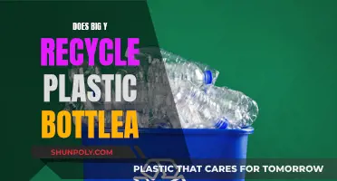 Big Y's Plastic Recycling: Uncovering the Truth