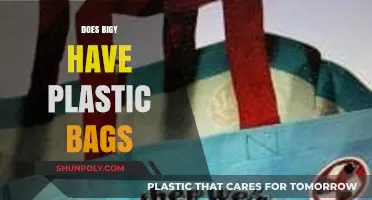 Does Big Y Still Offer Plastic Bags? A Shopper's Guide