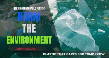 Biodegradable Plastic: Friend or Foe of the Environment?