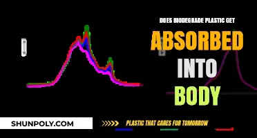 Can Biodegradable Plastics Be Absorbed by the Human Body?