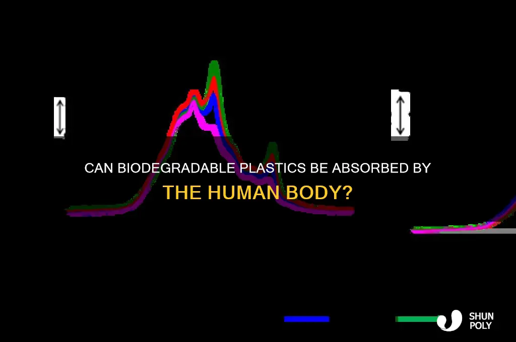 does biodegrade plastic get absorbed into body