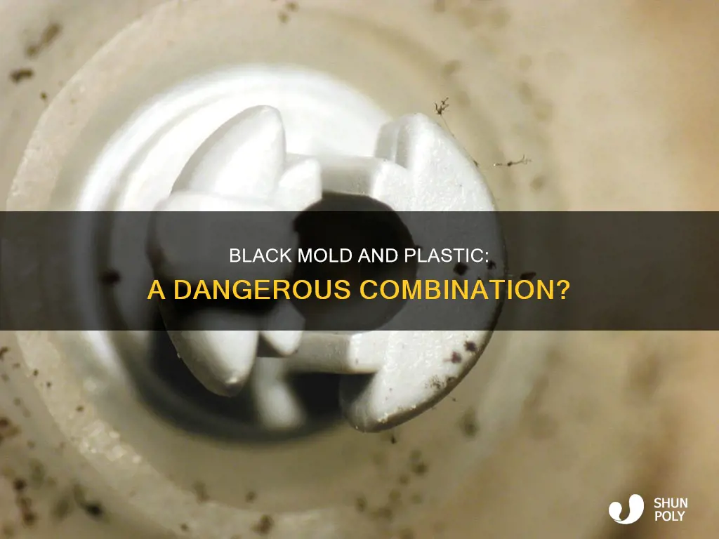 does black mold grow on plastic