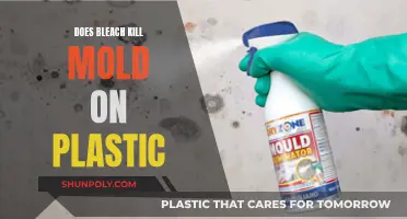 How Bleach Removes Mold from Plastic Surfaces