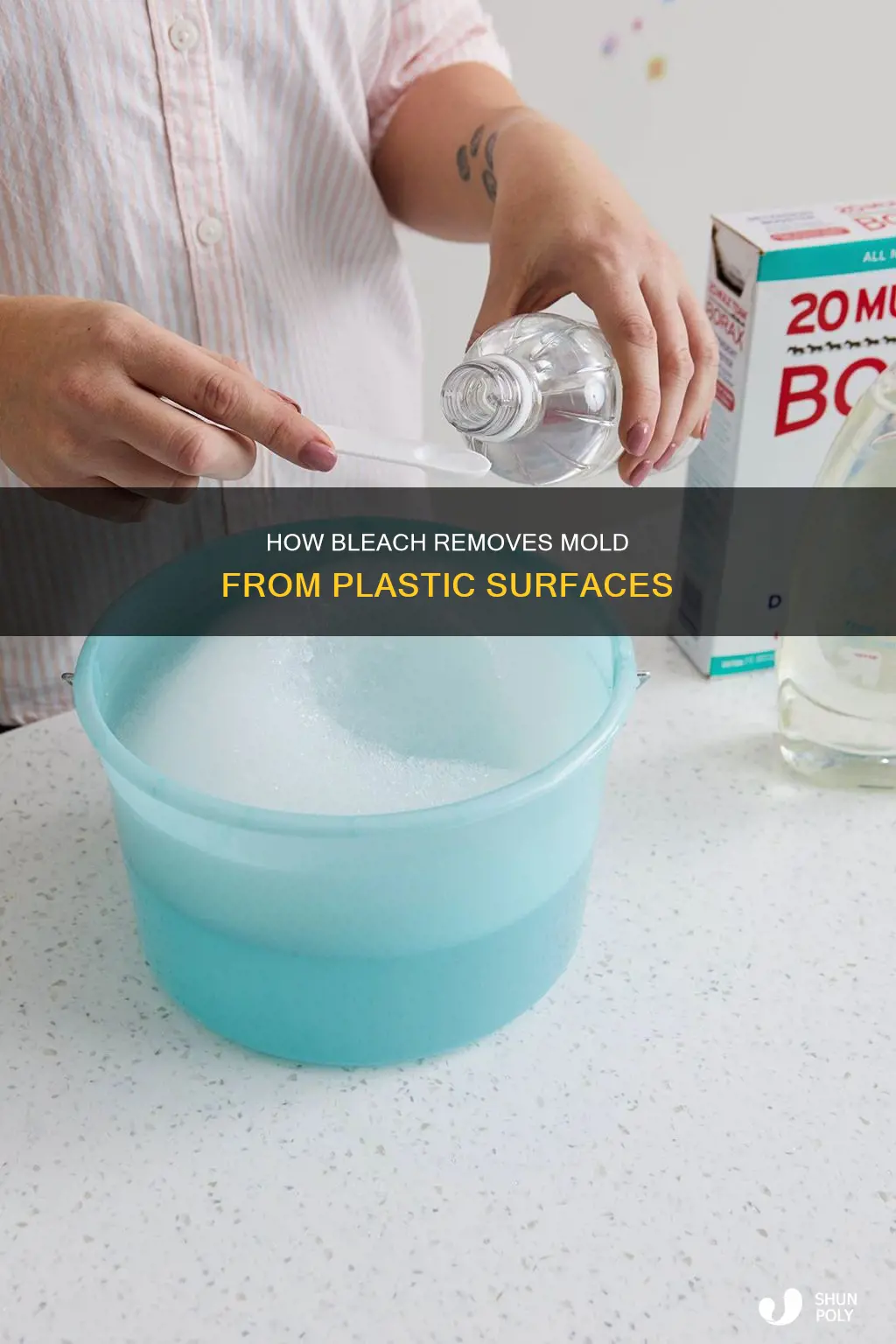 does bleach kill mold on plastic