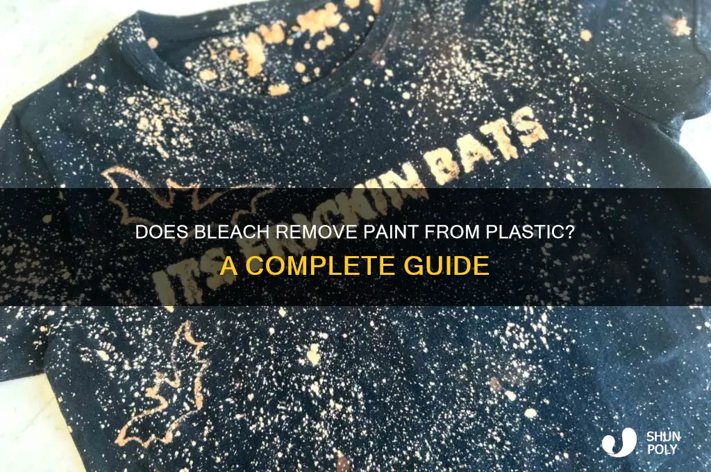 does bleach remove paint from plastic