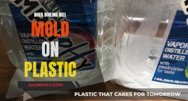 Boiling Water to Kill Mold: Effective on Plastic?
