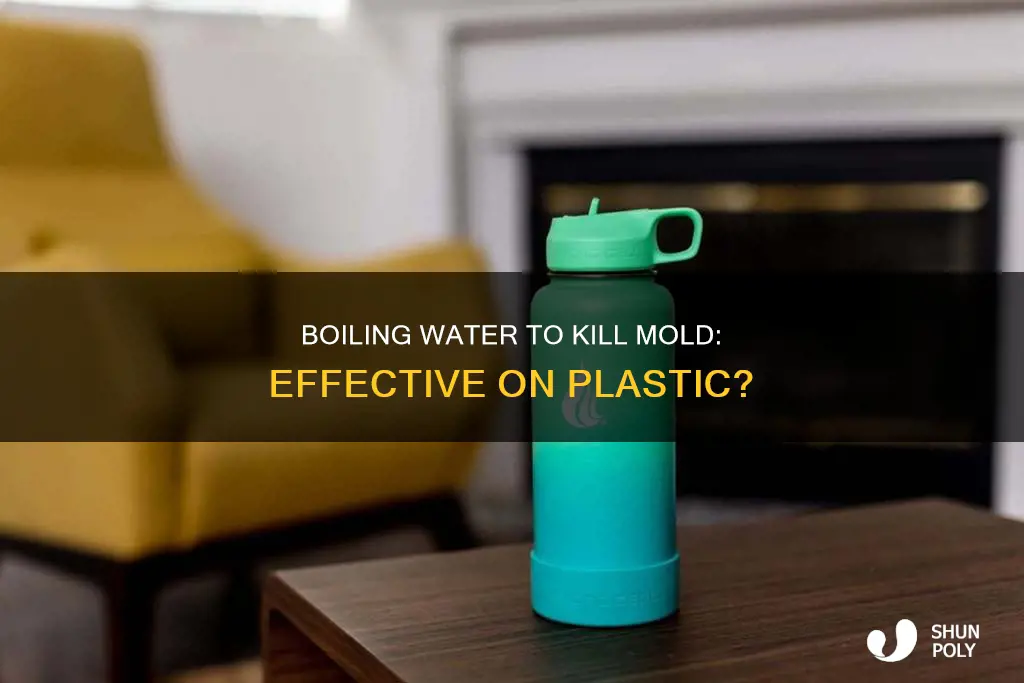does boiling kill mold on plastic