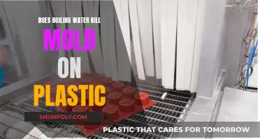 Boiling Water: Mold Killer or Plastic Savior?