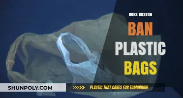 Boston's Plastic Bag Ban: What You Need to Know