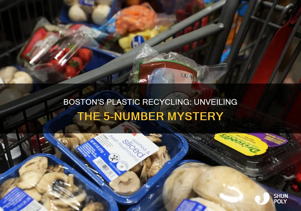 does boston mass recycle 5 plastic