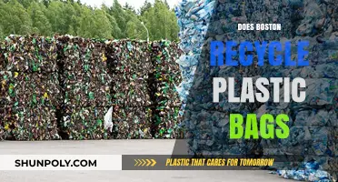 Does Boston Recycle Plastic Bags? Uncovering the City's Waste Management Practices