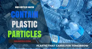 Bottled Water and Plastic Particles: Unseen Dangers in Every Sip?