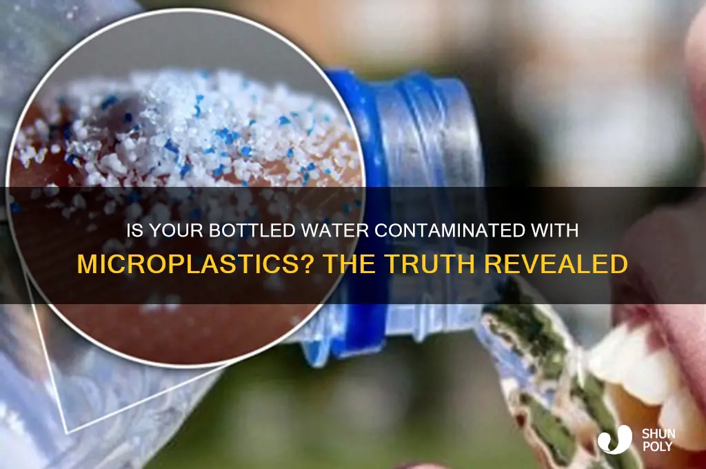 does bottled water have plastic in it
