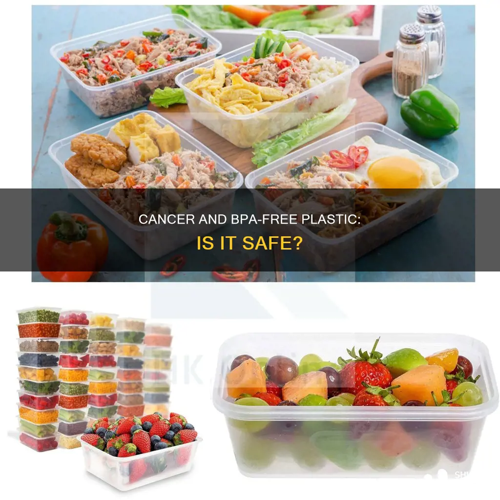 does bpa free plastic cause cancer