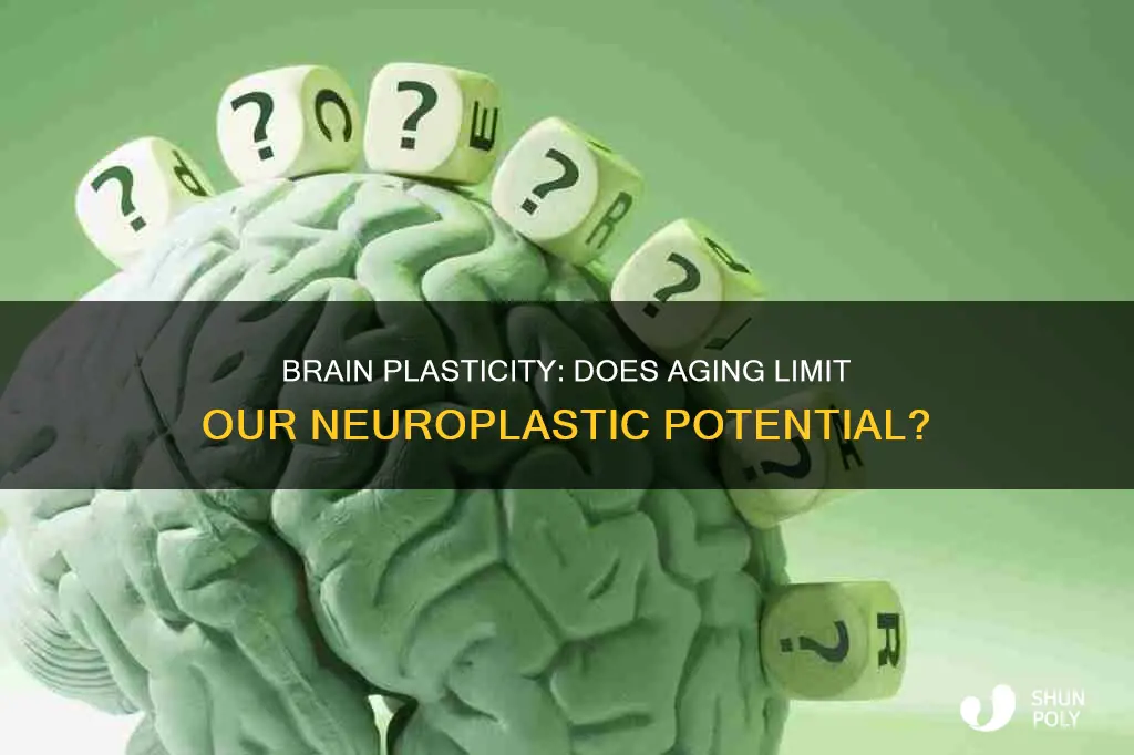 does brain plasticity decrease with age