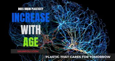 Brain Plasticity: Can It Increase With Age?