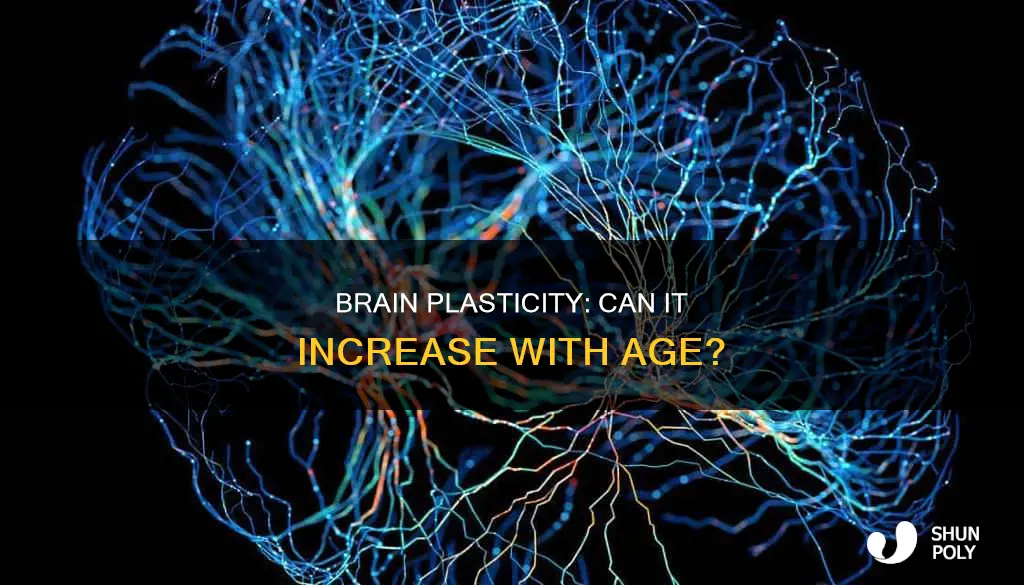 does brain plasticity increase with age
