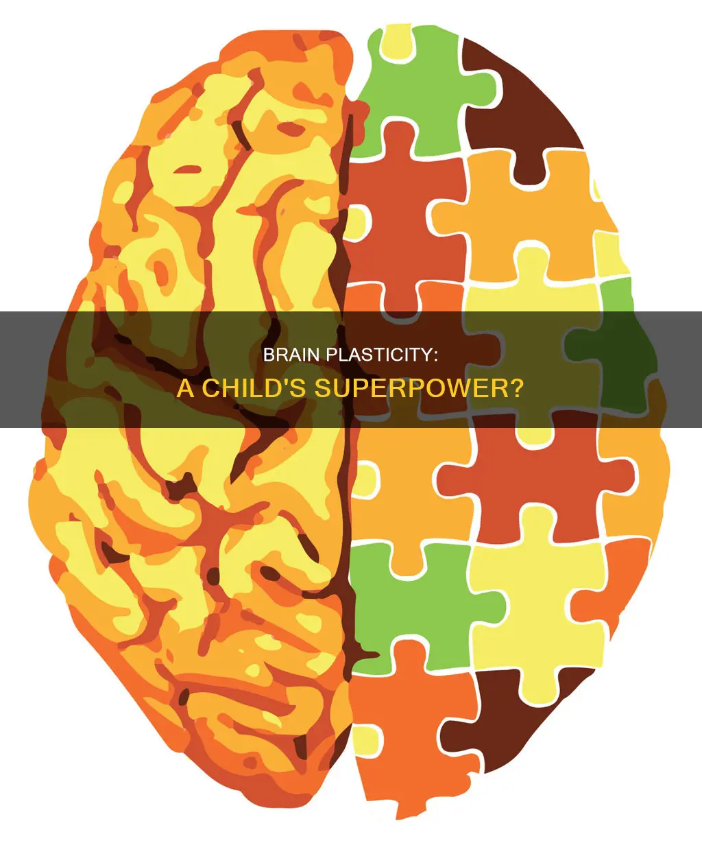 does brain plasticity vary in children