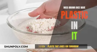 Brown Rice and Plastic: Is There a Connection?