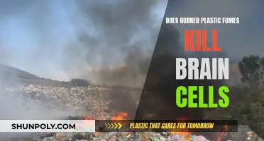 How Plastic Fumes Affect Your Brain