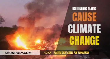 Plastic Burning: Climate Change Culprit or Convenient Scapegoat?