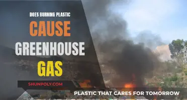 Burning Plastic: Greenhouse Gas and Health Risks