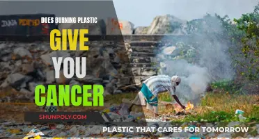 Burning Plastics: Cancer and Health Risks