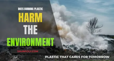Plastic Burning: Harming Our Planet and Health